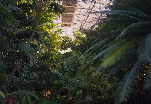 Krohn Conservatory